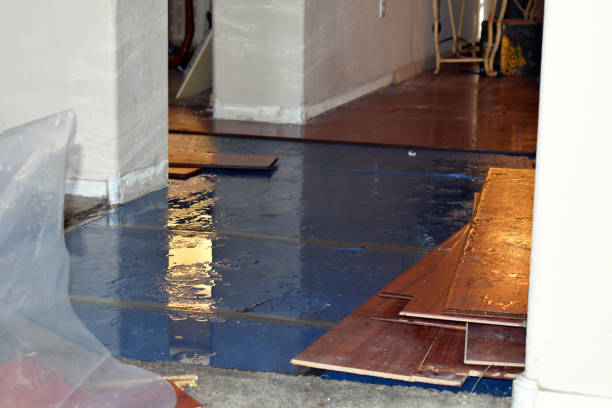 Professional Burst Pipe Water Damage technician working in Pointblank, TX